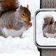 Illustration for article titled So You Bought an Apple Watch. Now, for the Accessories
